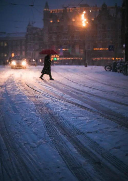 生肖运势与鬼影重重