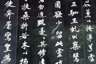 特殊情况处理技巧