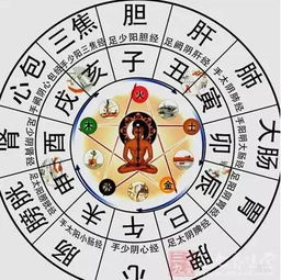 子时（23:00-1:00）——星空中的帝王命