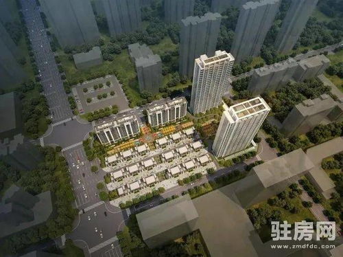 信阳：物业绿化行业的标杆？这啥意思？