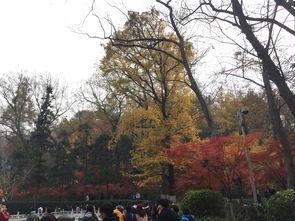排队两小时，拍照五分钟