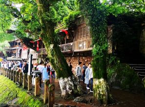 四、 旅行体验：不只是风景，更是一段历史持续发展旅程