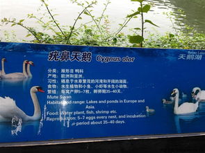 省钱绝招大放送！不看后悔一辈子！