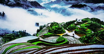 3. 龙脊梯田：摔跤大赛现场