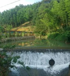 先说说这莲花山到底有什么好