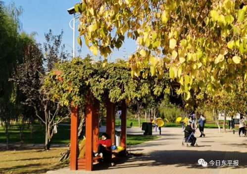 兰园：香气扑鼻的花花世界