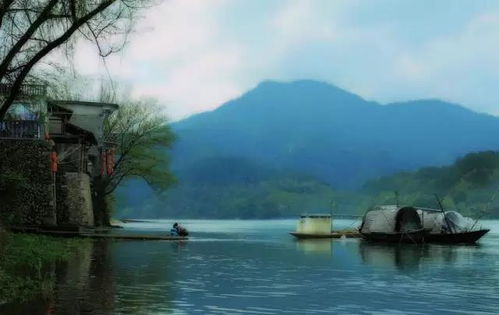 湿地里的“较小岛”——漂浮木桩乐园