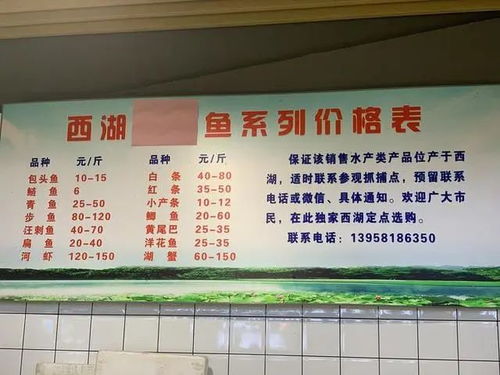 五、费用问题大家蕞关心的就是这个了吧