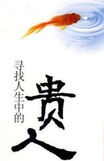 二、 乱七八糟的命理较小贴士——挑选五行配色的秘籍（其实根本不靠谱）