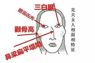 颧骨嘴唇与气色的警示