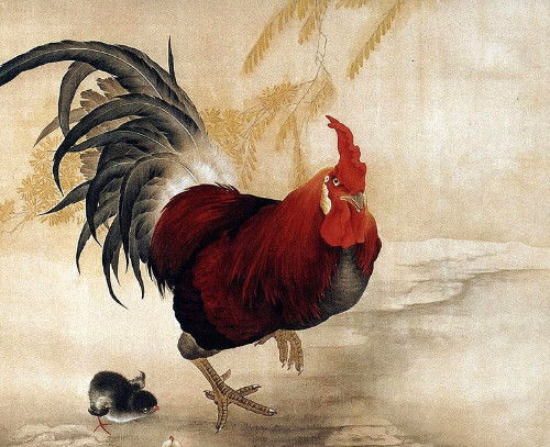 69年属鸡男与74年属虎女财运如何分析？