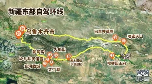 为哪些选择当地导游？