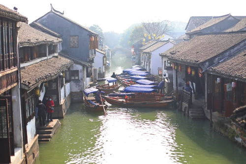 探秘水乡， 周庄一日游
