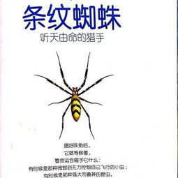 一、 星座与蜘蛛网的暗号