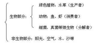五命功具体有哪些显著功效和作用？