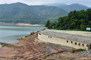 我的血泪史！血泪史！
